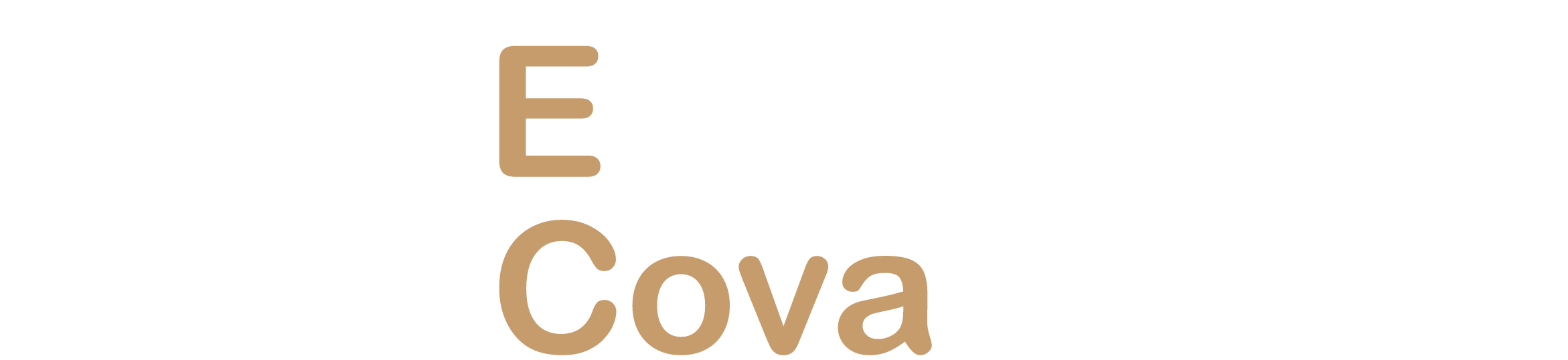 ecovafoto.com